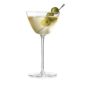 Gin | Martini Dry 
